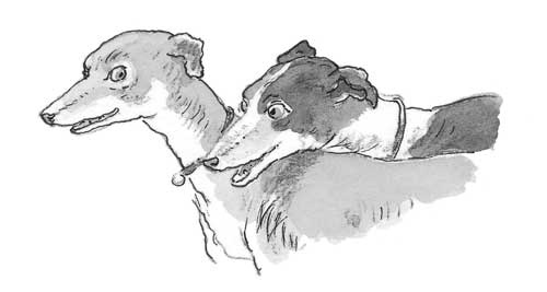 Иллюстрация к книге — Рожденный бежать [i_017.jpg]