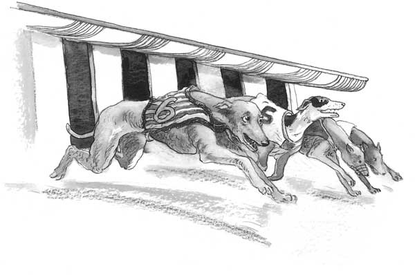 Иллюстрация к книге — Рожденный бежать [i_022.jpg]