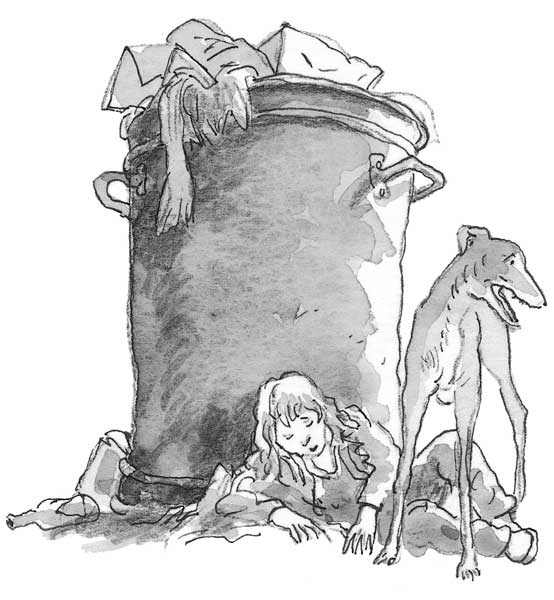 Иллюстрация к книге — Рожденный бежать [i_030.jpg]