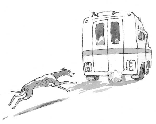 Иллюстрация к книге — Рожденный бежать [i_031.jpg]