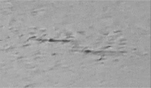 Иллюстрация к книге — Тайны мирового океана [i_015.jpg]