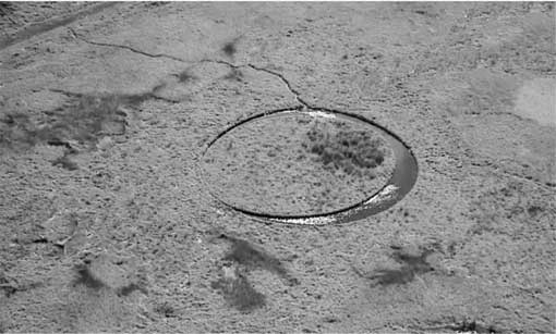 Иллюстрация к книге — Тайны мирового океана [i_023.jpg]