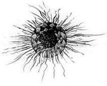 Иллюстрация к книге — Макабр. Война на восходе [i_033.jpg]