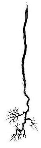 Иллюстрация к книге — Макабр. Война на восходе [i_047.jpg]