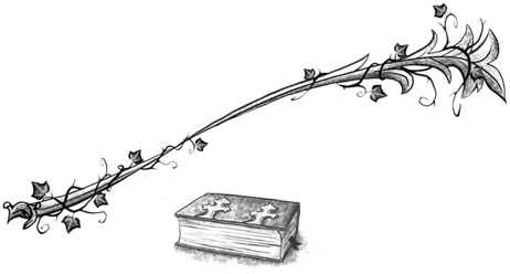 Иллюстрация к книге — Остановите Айви Покет! [i_005.jpg]