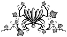 Иллюстрация к книге — Остановите Айви Покет! [i_058.jpg]