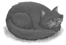 Иллюстрация к книге — Остановите Айви Покет! [i_062.jpg]