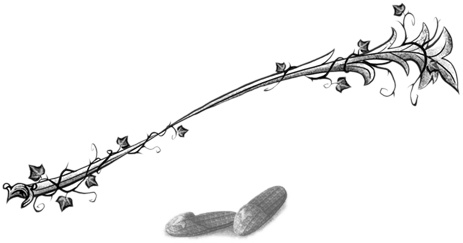 Иллюстрация к книге — Остановите Айви Покет! [i_064.jpg]