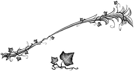 Иллюстрация к книге — Остановите Айви Покет! [i_090.jpg]