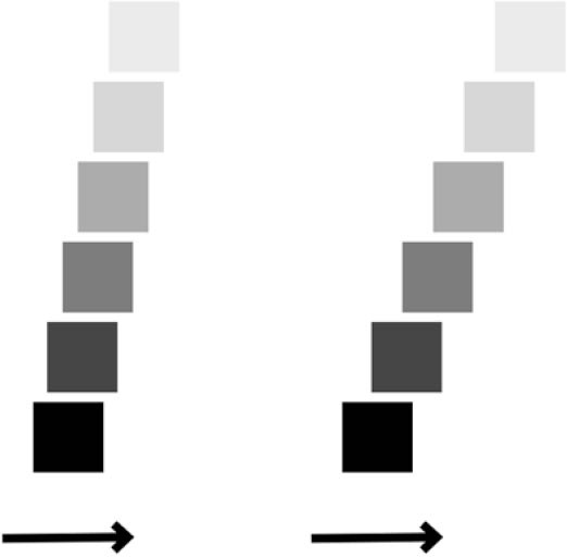 Иллюстрация к книге — Куда летит время. Увлекательное исследование о природе времени [i_007.jpg]