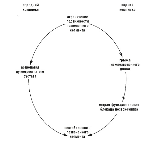 Иллюстрация к книге — Настольная книга для тех, у кого болит спина [i_003.jpg]