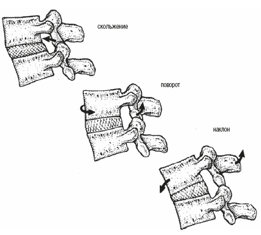Иллюстрация к книге — Настольная книга для тех, у кого болит спина [i_020.jpg]