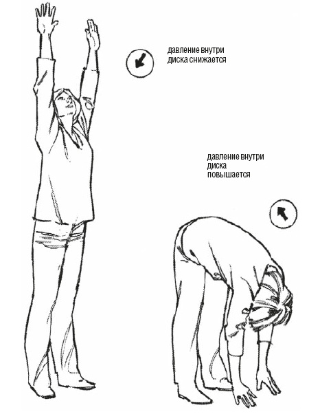 Иллюстрация к книге — Настольная книга для тех, у кого болит спина [i_022.jpg]