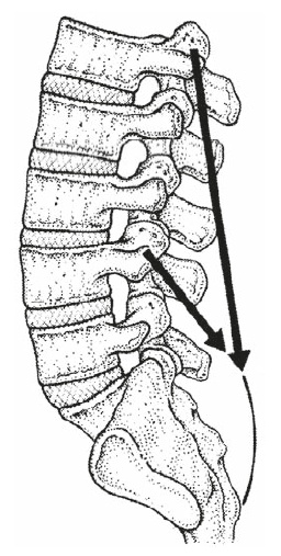 Иллюстрация к книге — Настольная книга для тех, у кого болит спина [i_034.jpg]