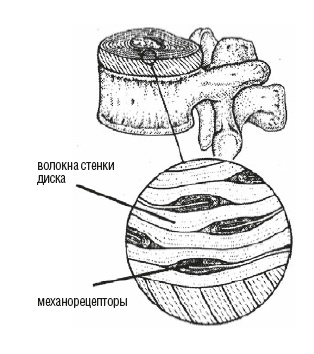 Иллюстрация к книге — Настольная книга для тех, у кого болит спина [i_047.jpg]