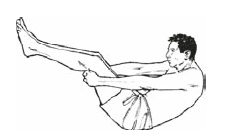 Иллюстрация к книге — Настольная книга для тех, у кого болит спина [i_051.jpg]