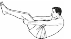 Иллюстрация к книге — Настольная книга для тех, у кого болит спина [i_055.jpg]