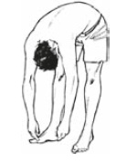 Иллюстрация к книге — Настольная книга для тех, у кого болит спина [i_059.jpg]