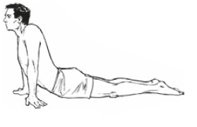 Иллюстрация к книге — Настольная книга для тех, у кого болит спина [i_064.jpg]