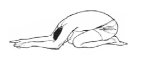 Иллюстрация к книге — Настольная книга для тех, у кого болит спина [i_065.jpg]