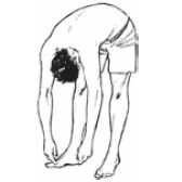 Иллюстрация к книге — Настольная книга для тех, у кого болит спина [i_066.jpg]