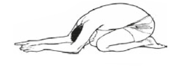 Иллюстрация к книге — Настольная книга для тех, у кого болит спина [i_091.jpg]