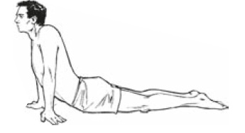 Иллюстрация к книге — Настольная книга для тех, у кого болит спина [i_093.jpg]