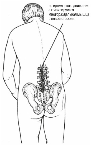 Иллюстрация к книге — Настольная книга для тех, у кого болит спина [i_106.jpg]