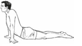 Иллюстрация к книге — Настольная книга для тех, у кого болит спина [i_113.jpg]