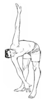 Иллюстрация к книге — Настольная книга для тех, у кого болит спина [i_119.jpg]