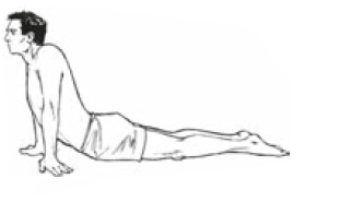 Иллюстрация к книге — Настольная книга для тех, у кого болит спина [i_121.jpg]