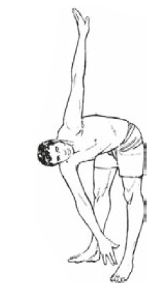 Иллюстрация к книге — Настольная книга для тех, у кого болит спина [i_159.jpg]