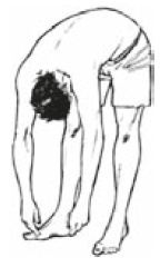 Иллюстрация к книге — Настольная книга для тех, у кого болит спина [i_177.jpg]