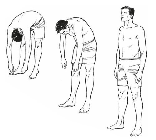 Иллюстрация к книге — Настольная книга для тех, у кого болит спина [i_192.jpg]