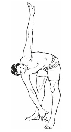 Иллюстрация к книге — Настольная книга для тех, у кого болит спина [i_193.jpg]