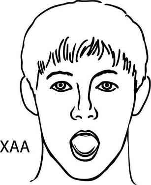 Иллюстрация к книге — Скорая помощь при острых болях. На все случаи жизни [i_153.jpg]