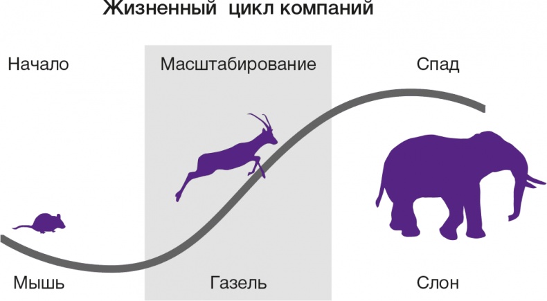 Иллюстрация к книге — Развитие бизнеса: инструменты прибыльного роста [i_003.jpg]