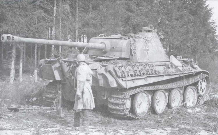 Иллюстрация к книге — «Черная кошка» Панцерваффе [img_100.jpg]