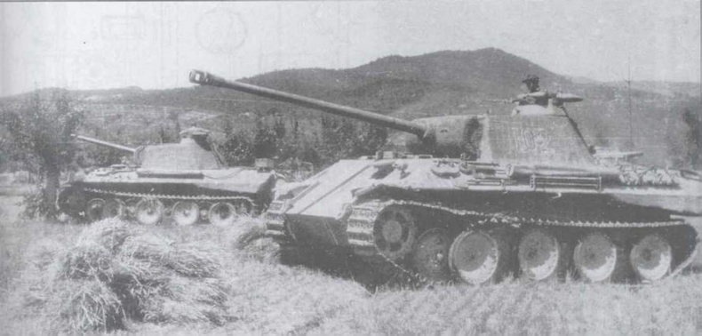 Иллюстрация к книге — «Черная кошка» Панцерваффе [img_65.jpg]