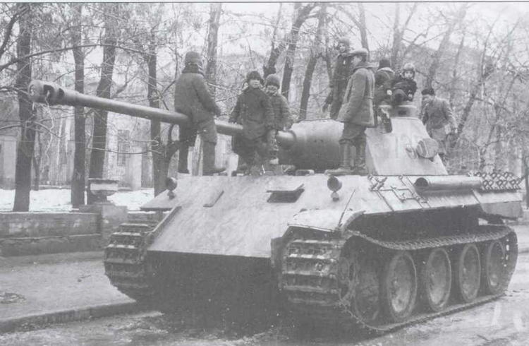 Иллюстрация к книге — «Черная кошка» Панцерваффе [img_71.jpg]