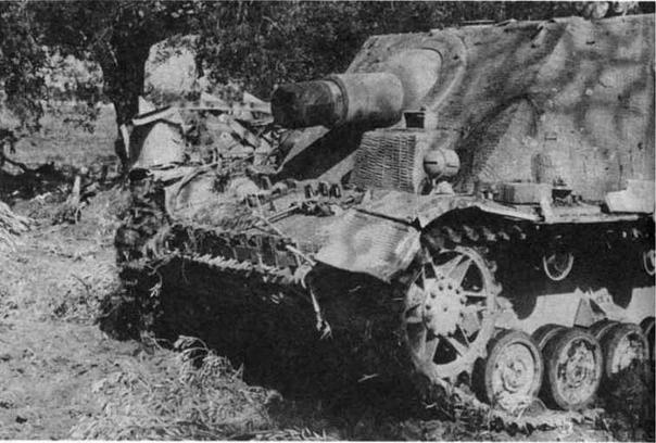 Иллюстрация к книге — Бронетанковая техника третьего рейха [img_113.jpg]