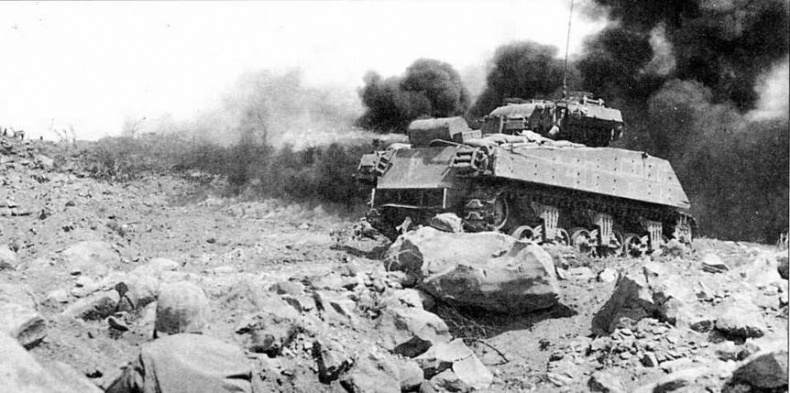 Иллюстрация к книге — Огнеметные танки Второй мировой войны [img_116.jpg]