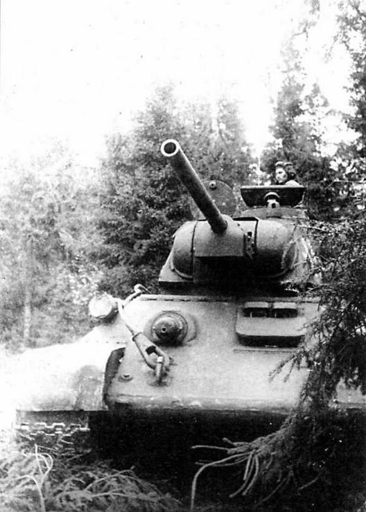 Иллюстрация к книге — Огнеметные танки Второй мировой войны [img_50.jpg]