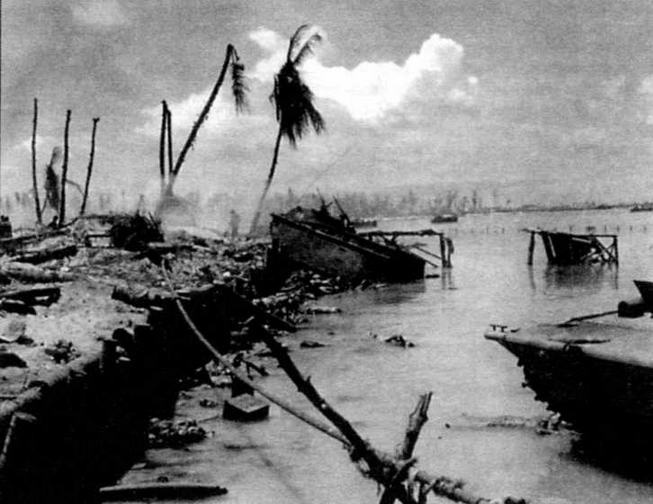 Иллюстрация к книге — Американские «аллигаторы». Гусеничные десантные машины LVT [img_52.jpg]