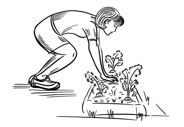 Иллюстрация к книге — 6 соток здоровья. Правильный отдых и восстановление круглый год [i_011.jpg]