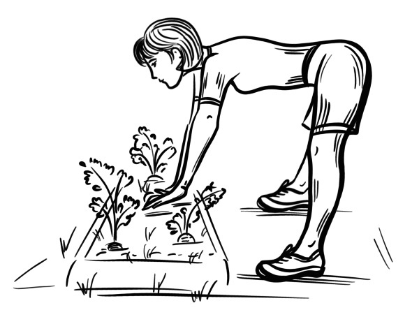 Иллюстрация к книге — 6 соток здоровья. Правильный отдых и восстановление круглый год [i_012.jpg]