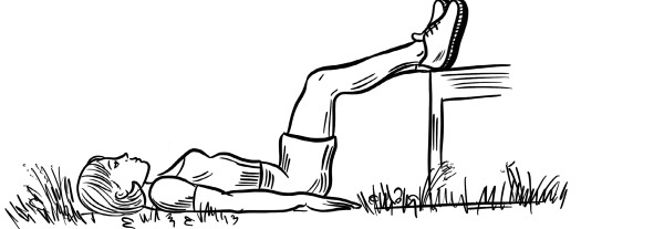 Иллюстрация к книге — 6 соток здоровья. Правильный отдых и восстановление круглый год [i_016.jpg]