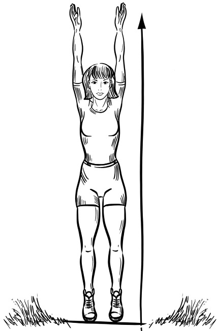 Иллюстрация к книге — 6 соток здоровья. Правильный отдых и восстановление круглый год [i_020.jpg]