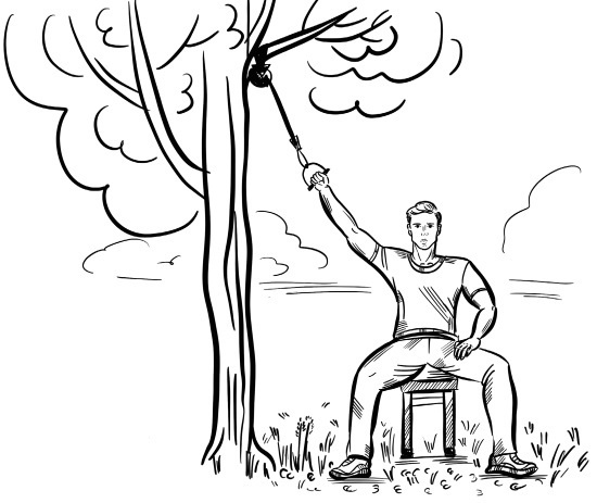 Иллюстрация к книге — 6 соток здоровья. Правильный отдых и восстановление круглый год [i_037.jpg]