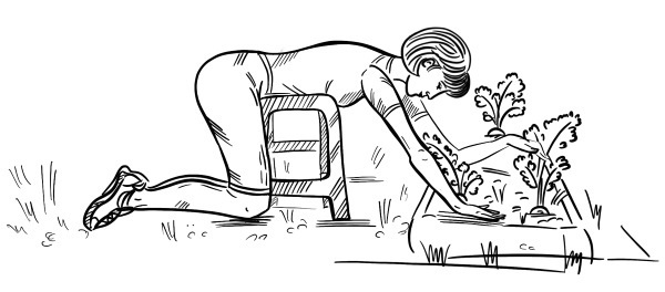 Иллюстрация к книге — 6 соток здоровья. Правильный отдых и восстановление круглый год [i_058.jpg]